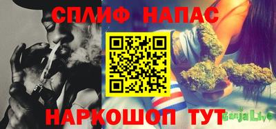 мдпв Рузаевка