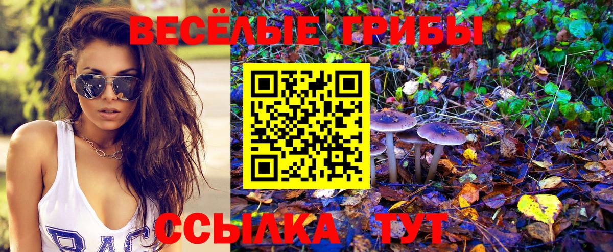 Трёхгорный  Галлюциногенные грибы ЛСД  Псилоцибиновые грибы Psilocybine cubensis  Вход с VPN 