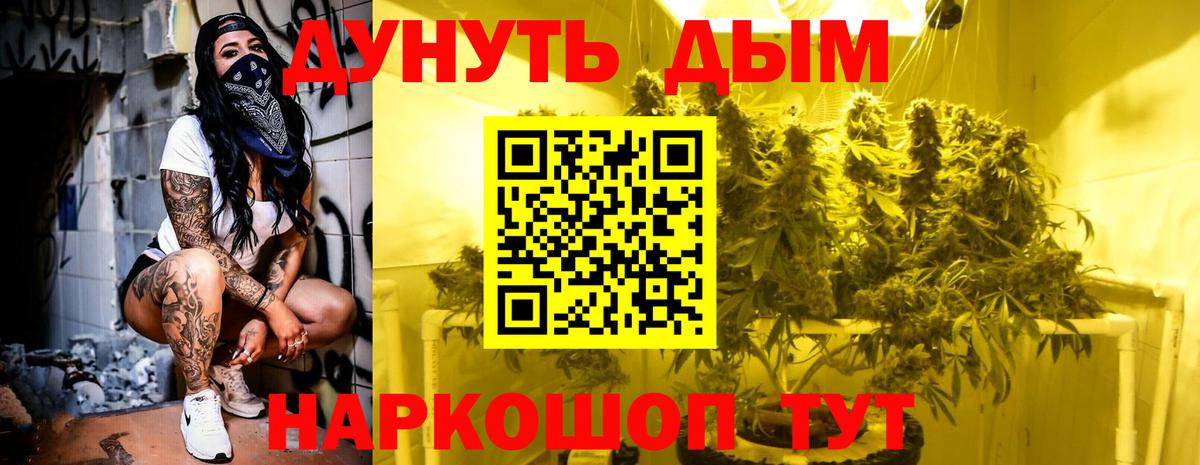 Шишки марихуана сатива Трёхгорный